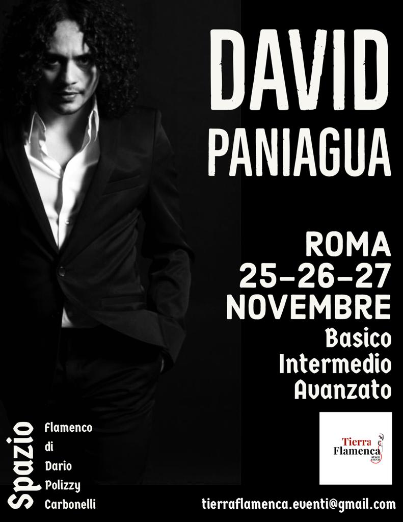 DAVID PANIAGUA stage 25-26-27 novembre&nbsp;2023